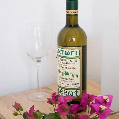 Διαμέρισμα Ilioditi Σκιάθος Πόλη