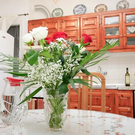 Ilioditi Apartament Skiatos