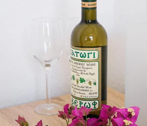 Διαμέρισμα Ilioditi Σκιάθος Πόλη